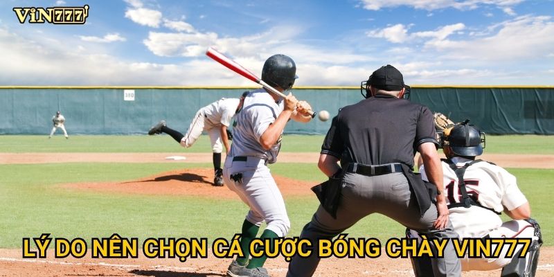 Có nên tham gia cá cược bóng chày tại Vin777 không? 2 Lý do nên chọn cá cược bóng chày Vin777